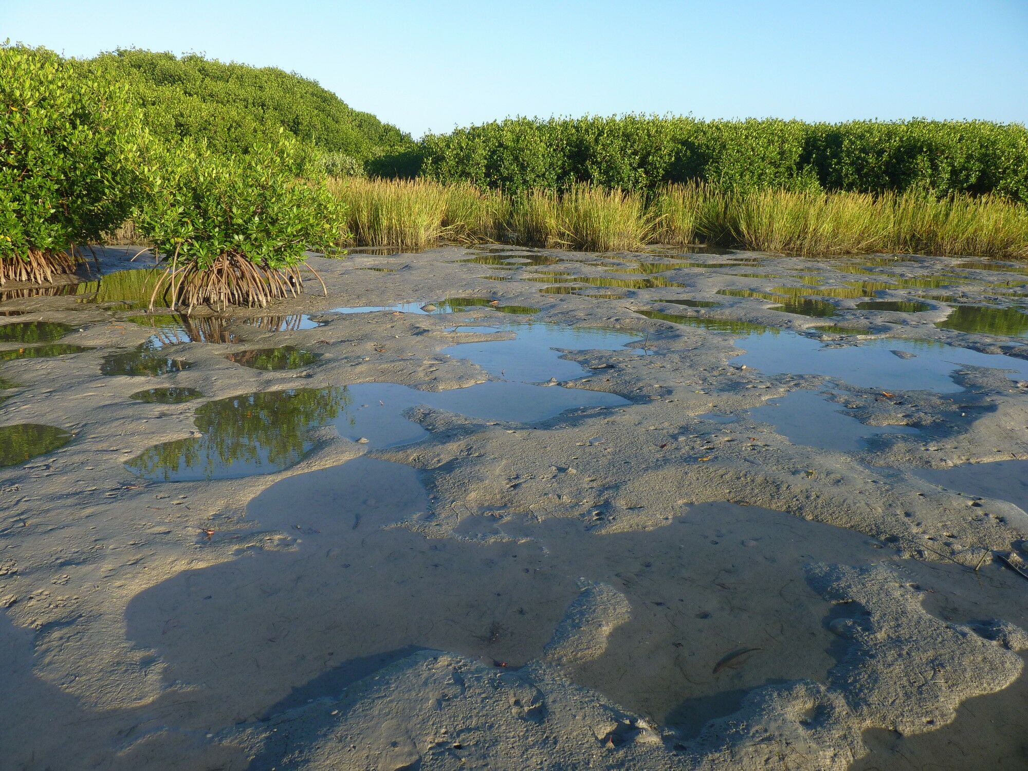 Click to See Next Image